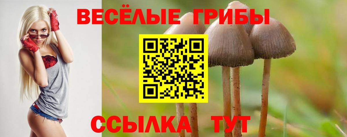 Псилоцибиновые грибы прущие грибы  Вход с VPN  купить закладку  Галлюциногенные грибы Psilocybe  Воткинск 